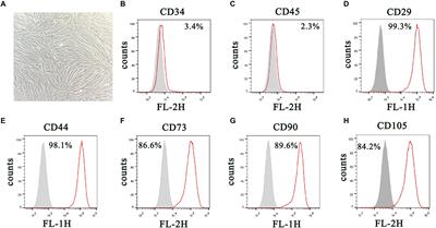 hsa_circ_0026827 Promotes Osteoblast Differentiation of Human Dental Pulp Stem Cells Through the Beclin1 and RUNX1 Signaling Pathways by Sponging miR-188-3p